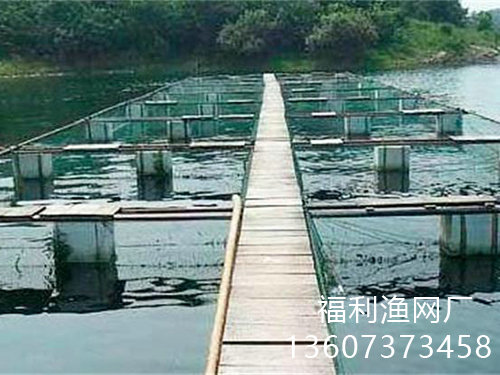 專業(yè)定做各種網(wǎng)箱