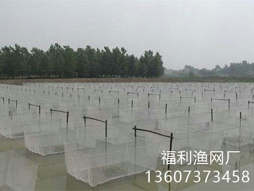 養(yǎng)殖網(wǎng)箱