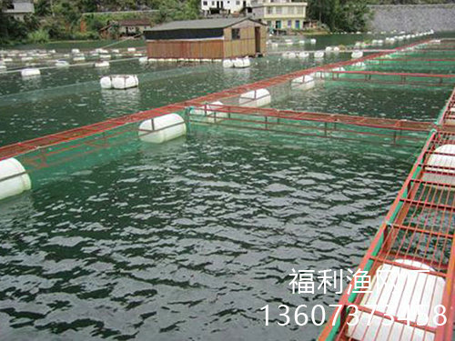 養(yǎng)殖網(wǎng)