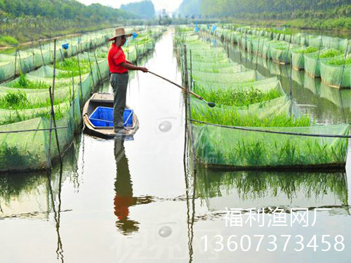 養(yǎng)殖網(wǎng)箱