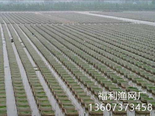 養(yǎng)殖網(wǎng)箱