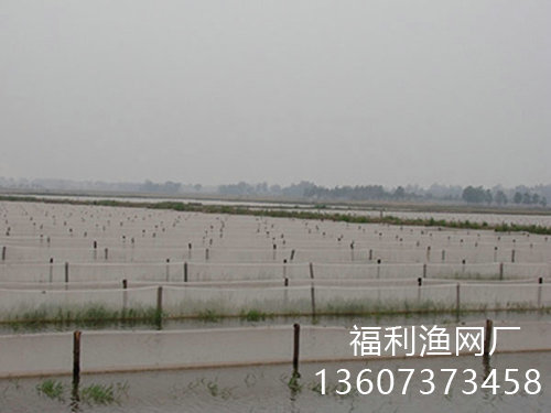 水蛭養(yǎng)殖網(wǎng)