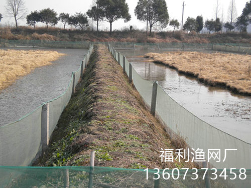 泥鰍養(yǎng)殖網(wǎng)