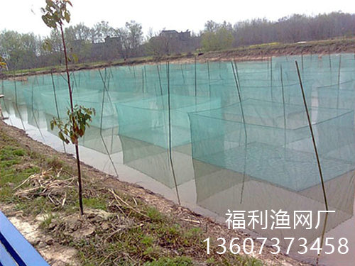 泥鰍網(wǎng),泥鰍防逃網(wǎng)