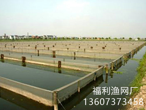 較優(yōu)質(zhì)的成品網(wǎng)箱