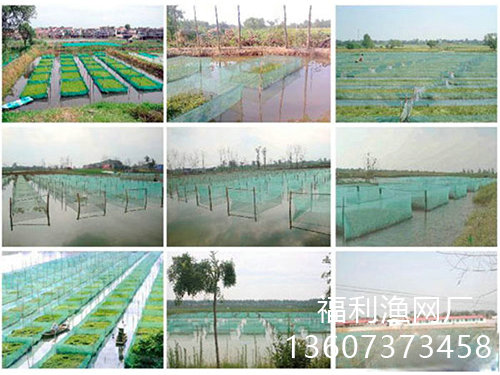 黃鱔泥鰍養(yǎng)殖網(wǎng)