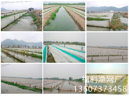 螞蝗養(yǎng)殖網(wǎng)箱