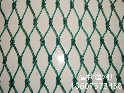 農(nóng)業(yè)專業(yè)網(wǎng)