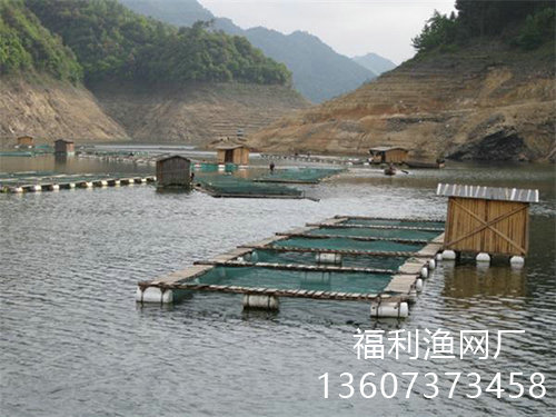 專業(yè)定做各種網(wǎng)箱